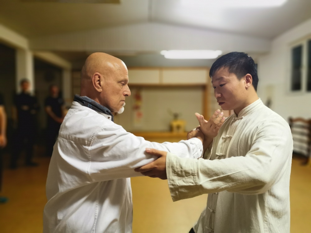 Meister Yang Jian Chao im Herbst 2019